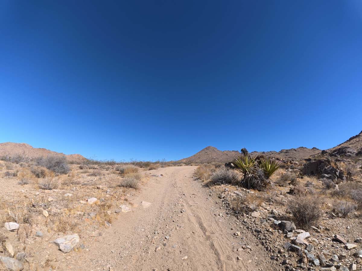BLM 07323 photo 4