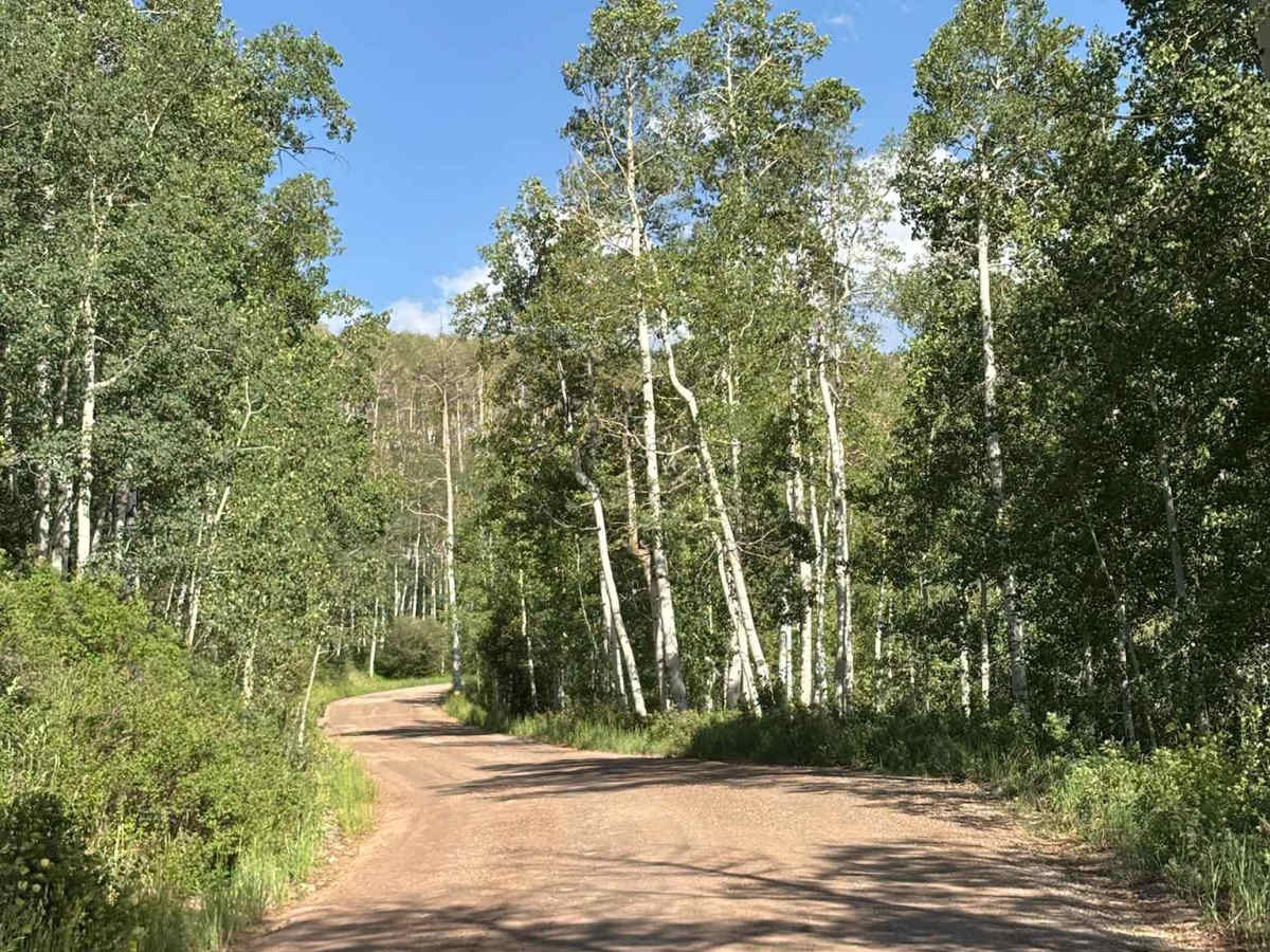 East Brush Creek Road photo 3