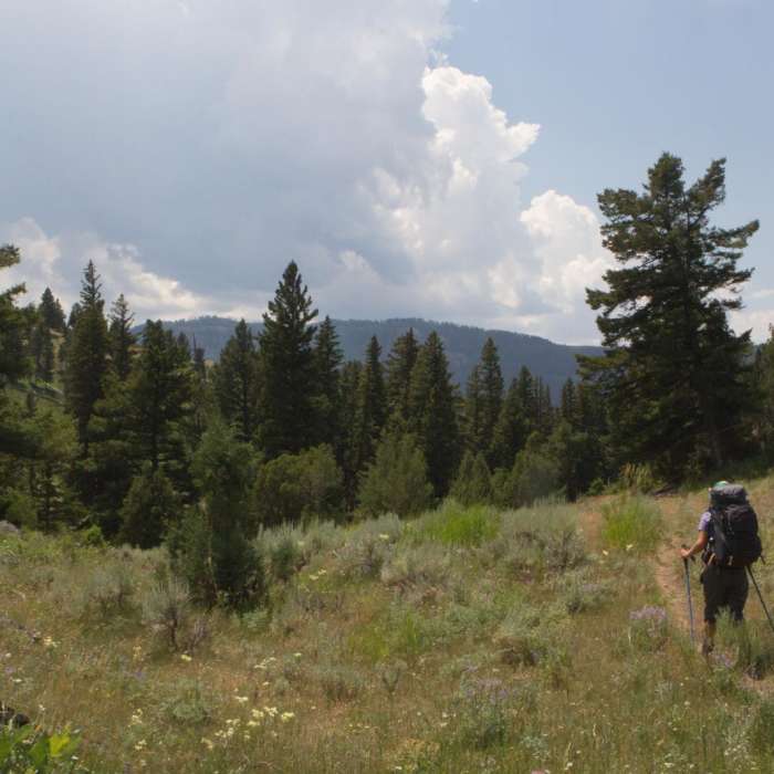 Near Hellroaring Creek Loop