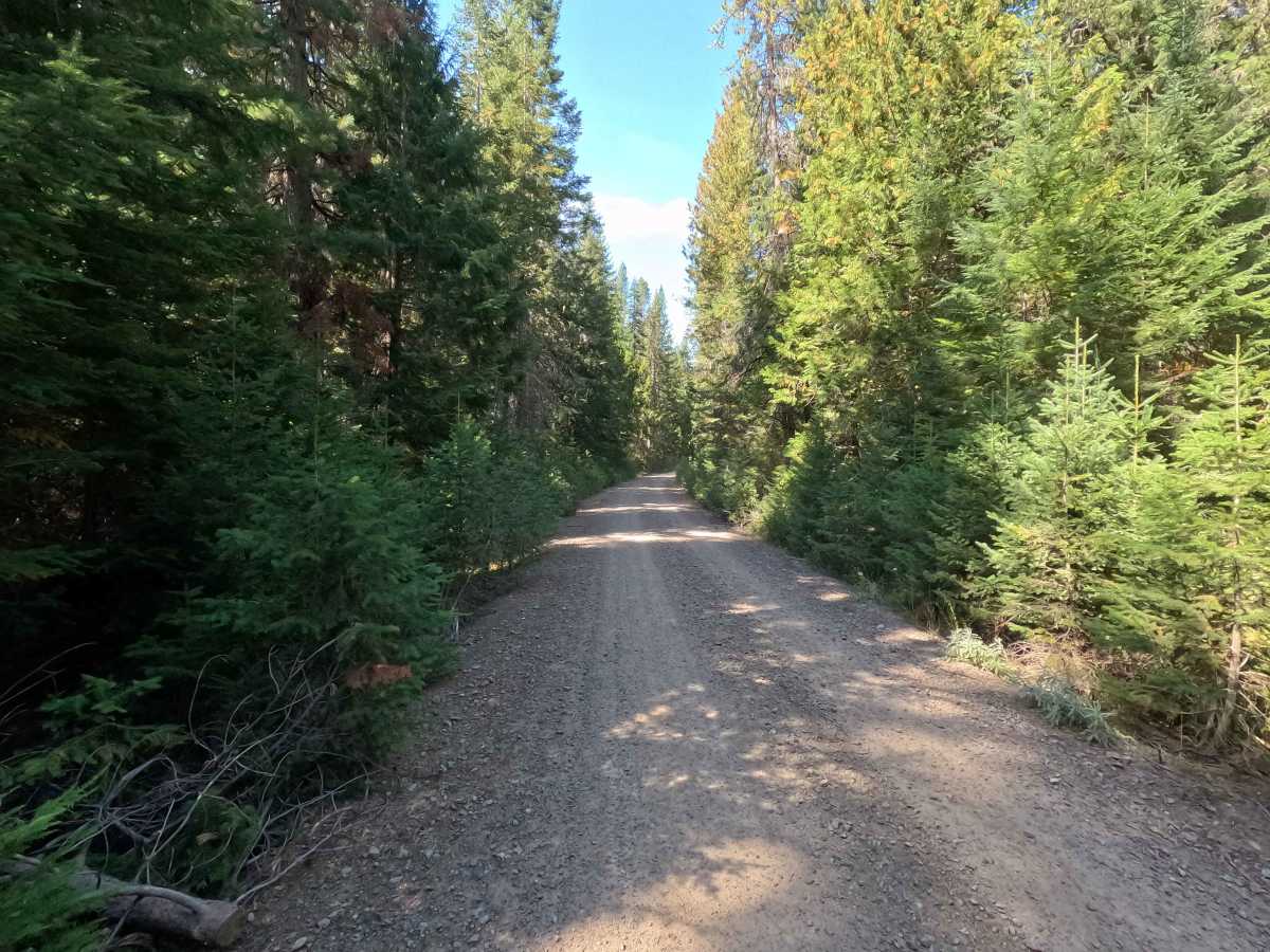 Upper West Branch - FS 1102 photo 2
