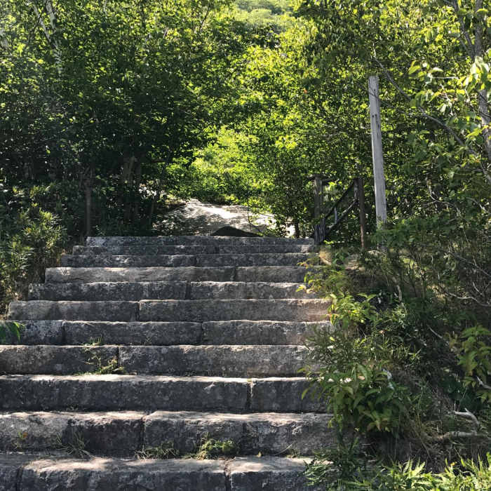 Near Precipice Loop Near Precipice Loop