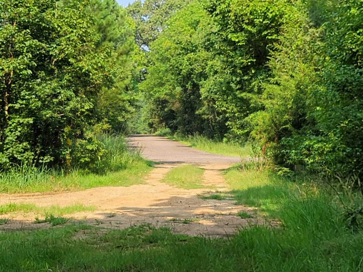 Low Water Bridge on Lake Wright Patman trail photo