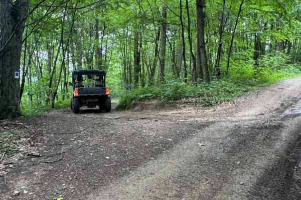 Trail 25