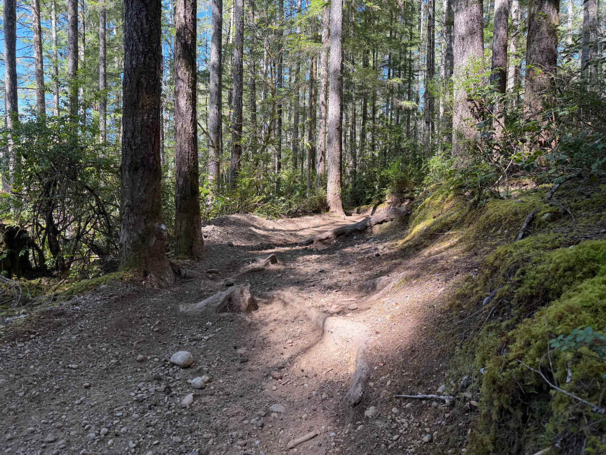 Overland Trail (North) photo 4