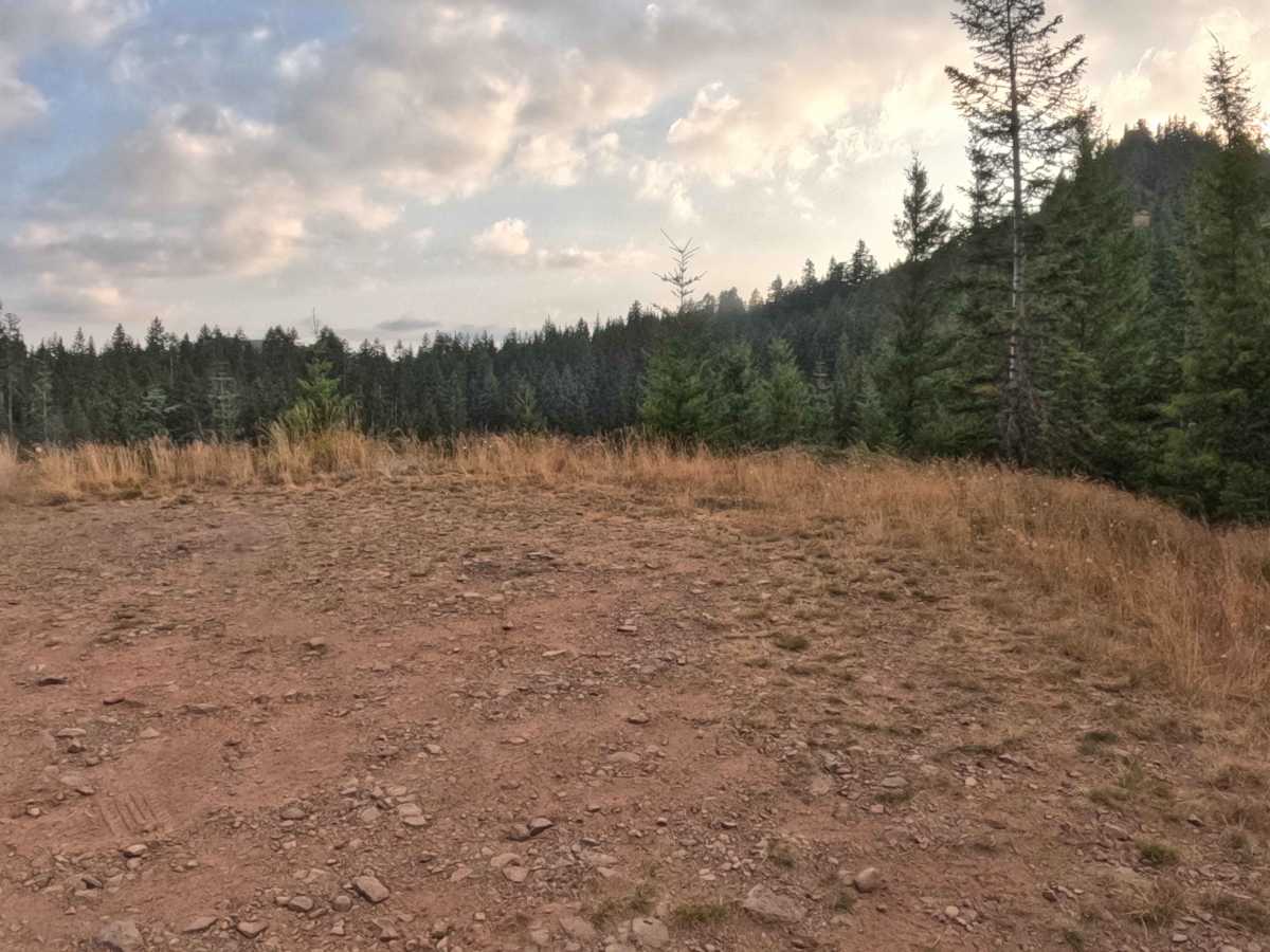 Coffin Mountain Road - FS 1168430 photo 2