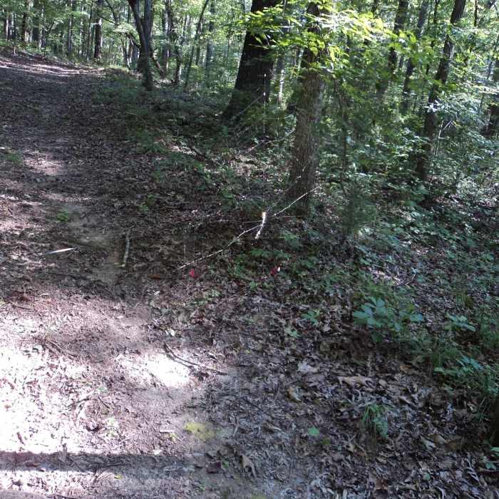 Near Horseshoe Trail