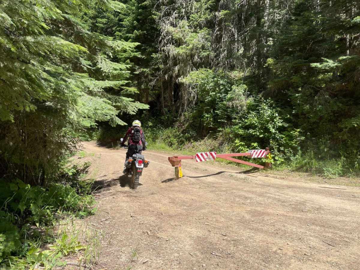 Echo Peak OHV photo 2