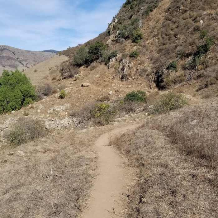 Near Islay Hill Trail