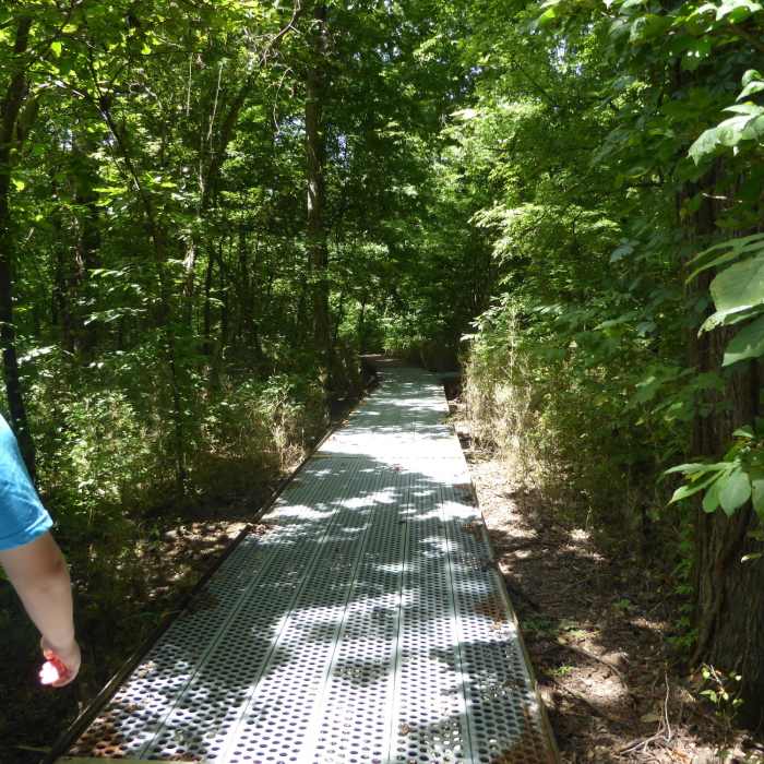Near Bottomland Trail