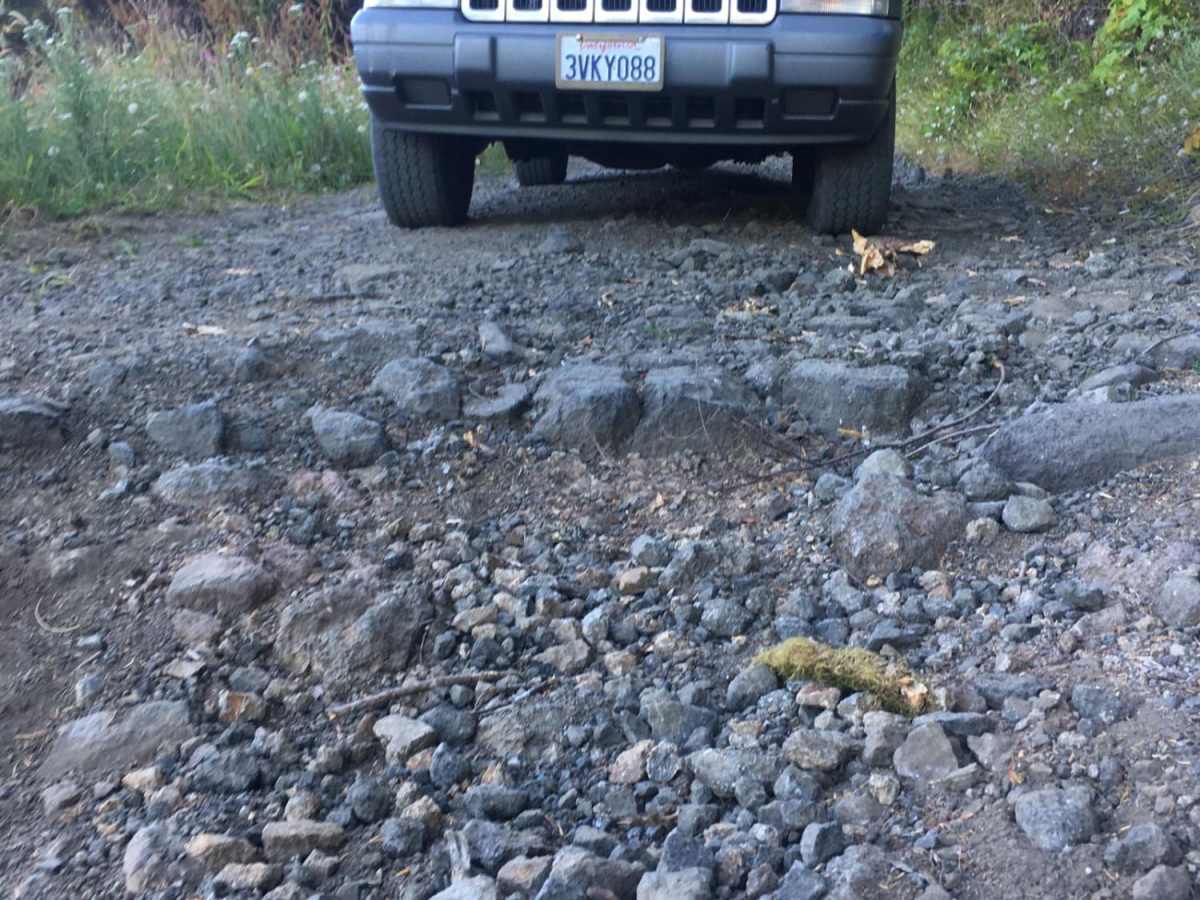 Route 5506 - Siuslaw Natl Forest photo 2