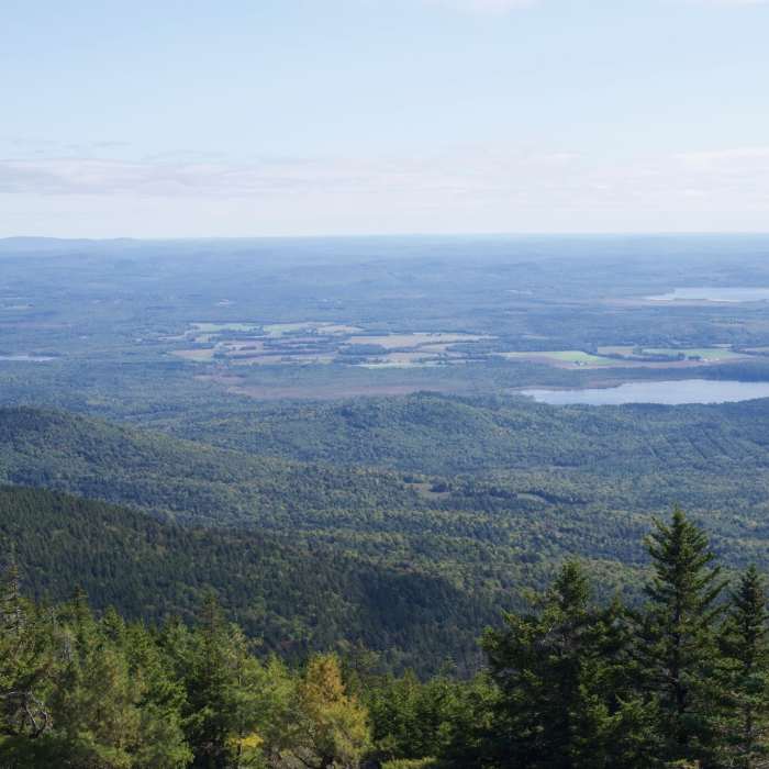 Near Mount Kearsarge North Trail