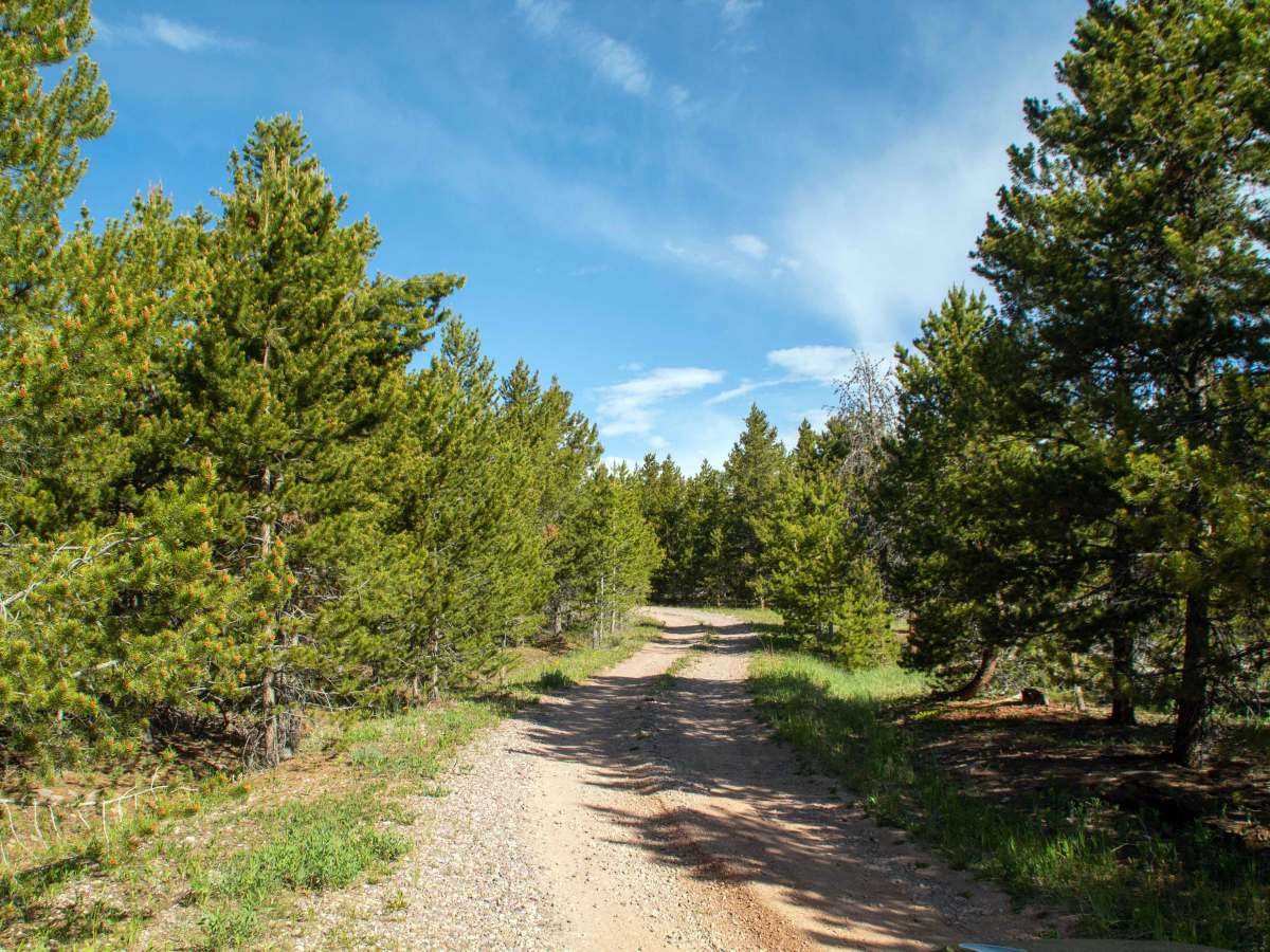 Oil & Gas View Area trail photo