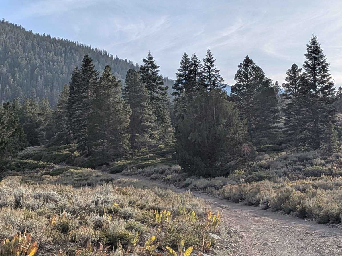 Stockade Flat Road photo 4