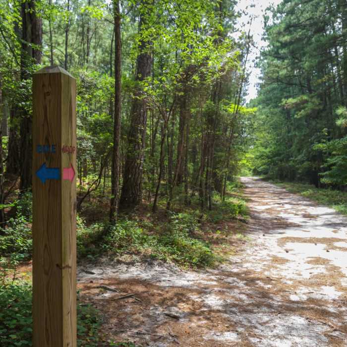 Near Loop Trail Near Loop Trail