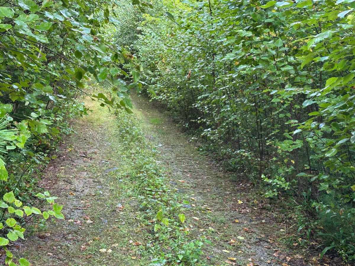 Forrest Moore Way trail photo