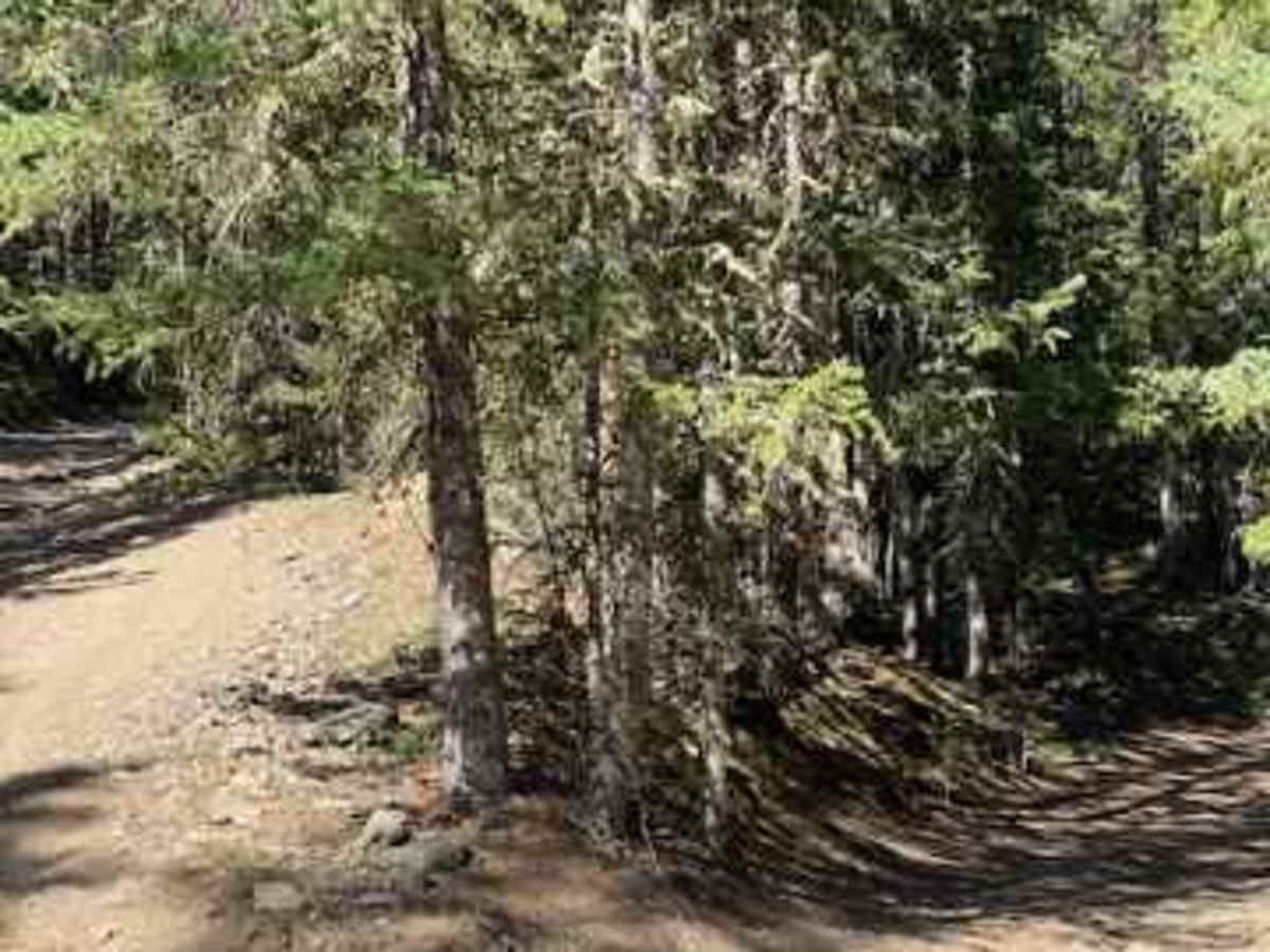 Packer Gulch photo 6
