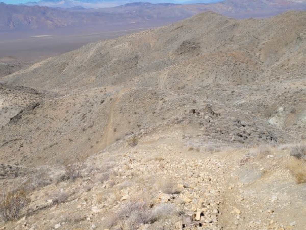 Trail 71 photo 6