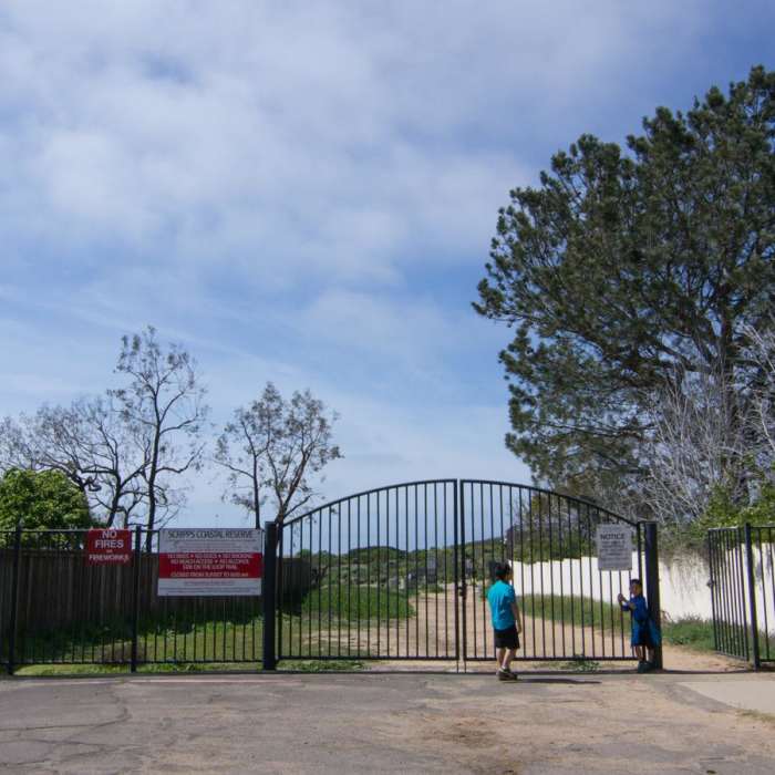 Near Scripps Coastal Reserve