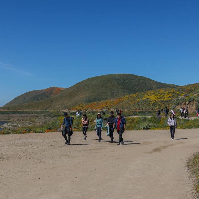 Near Wildflower Trail