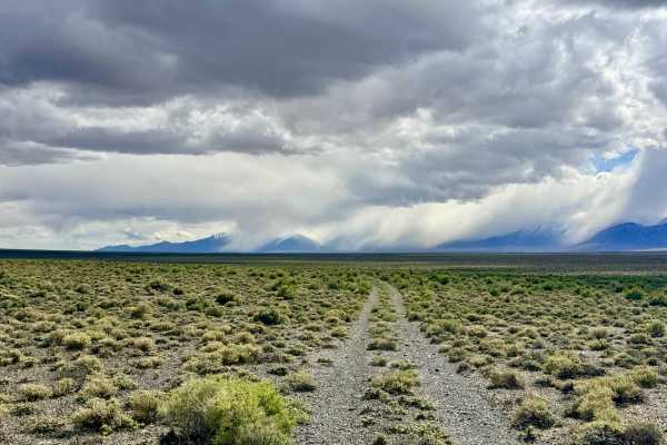 Lower Canyon Cutover Trail - BLM 288