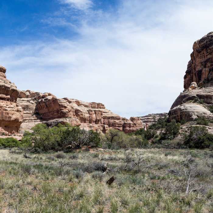 Soak up the panoramic views of Bullet Canyon while you're here. Near Bullet Canyon Trail
