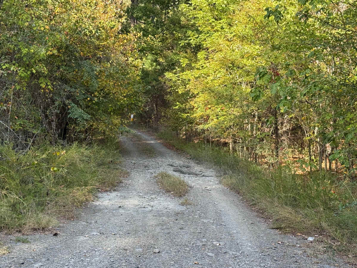 Vanish trail photo