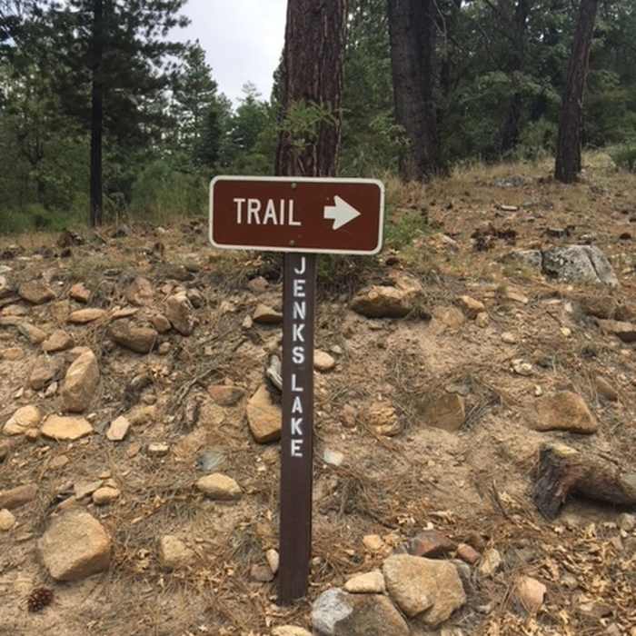 Near Jenks Lake Trail #1E20