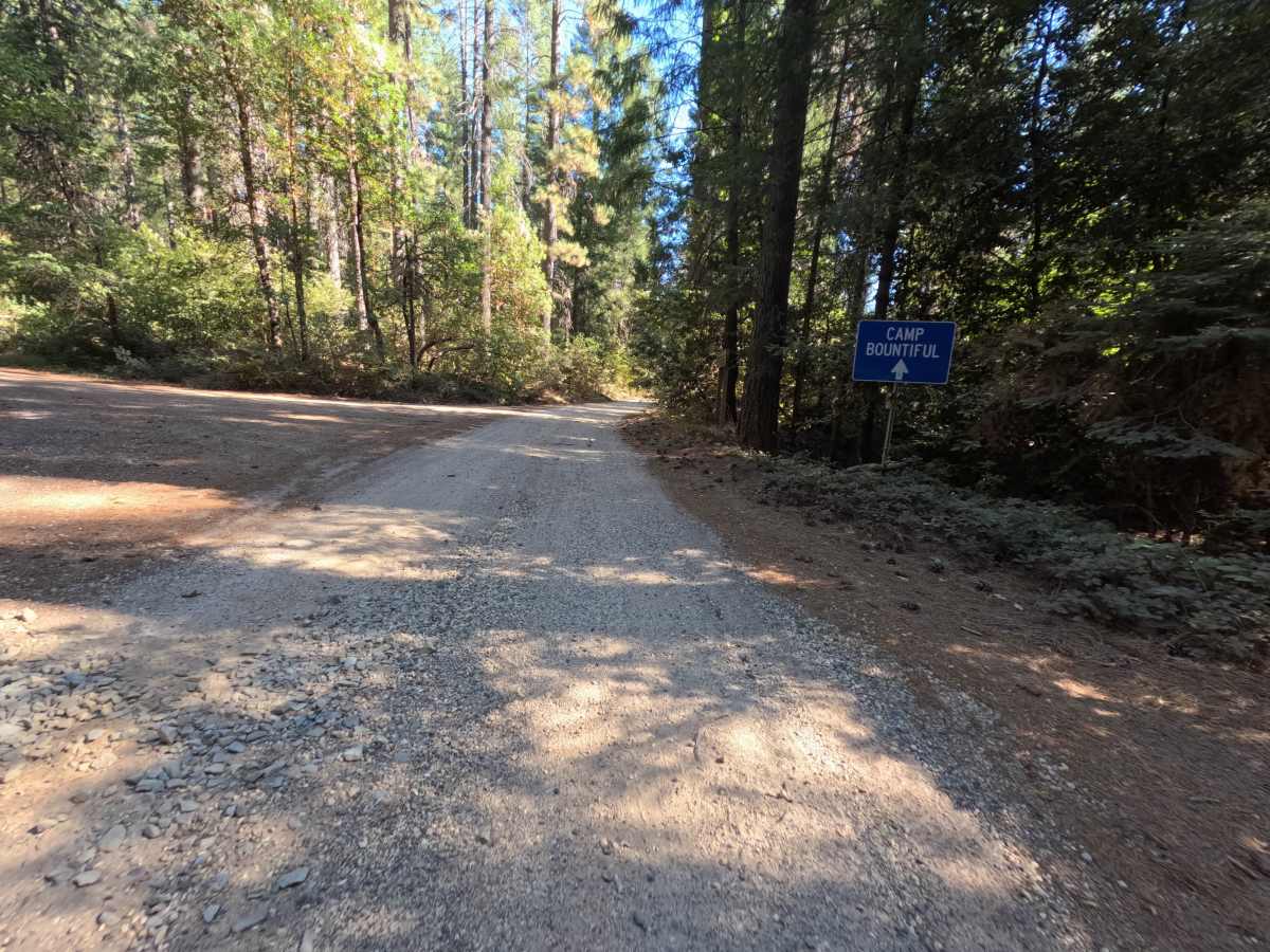Bear Trap Springs Road - FS 69 photo 4