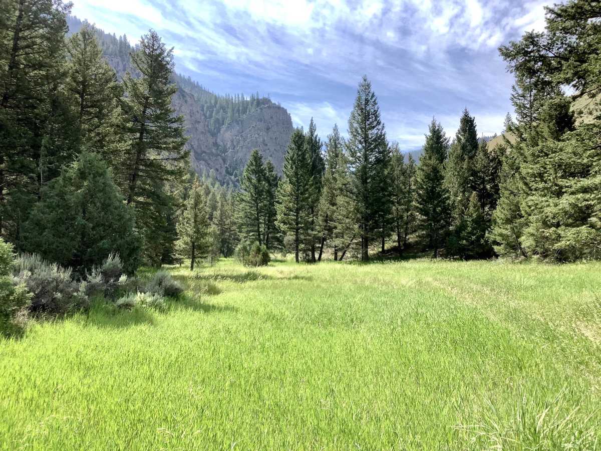 Van Dorn Canyon Trail trail photo
