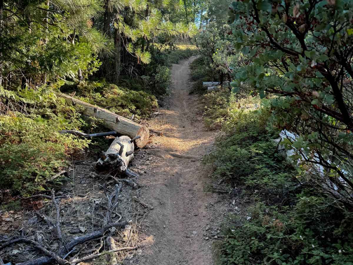 16EV136 trail photo
