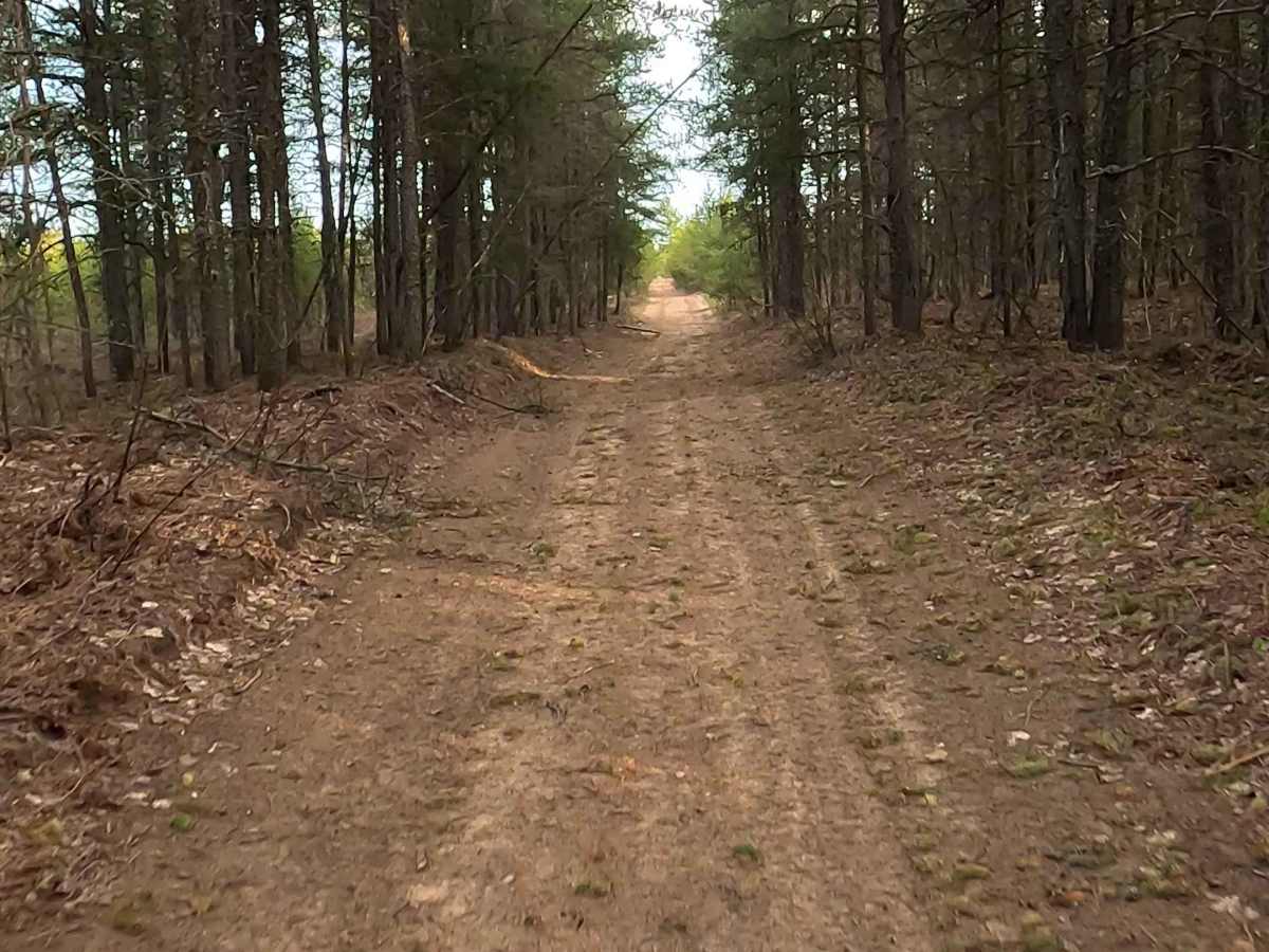N Sheldrake River Road photo 4