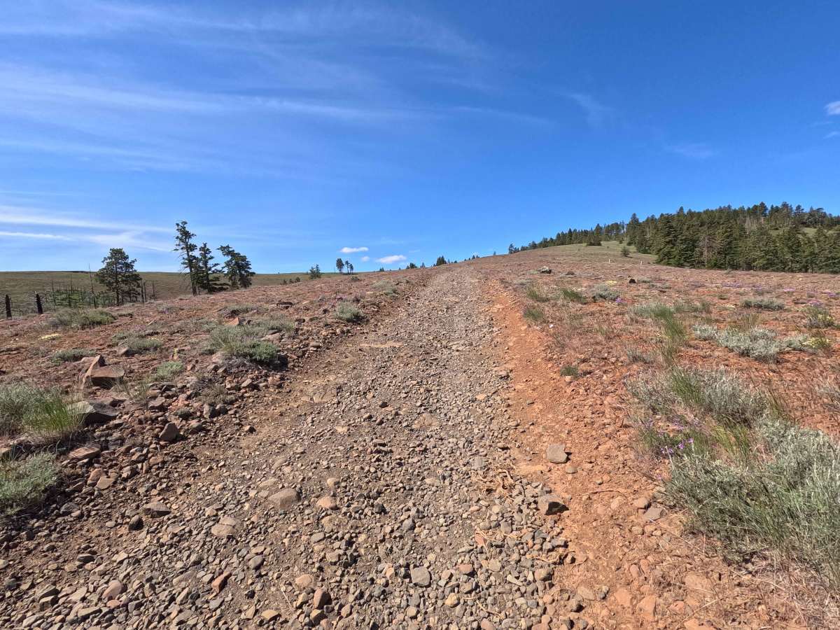 North Fork Spur Road photo 2