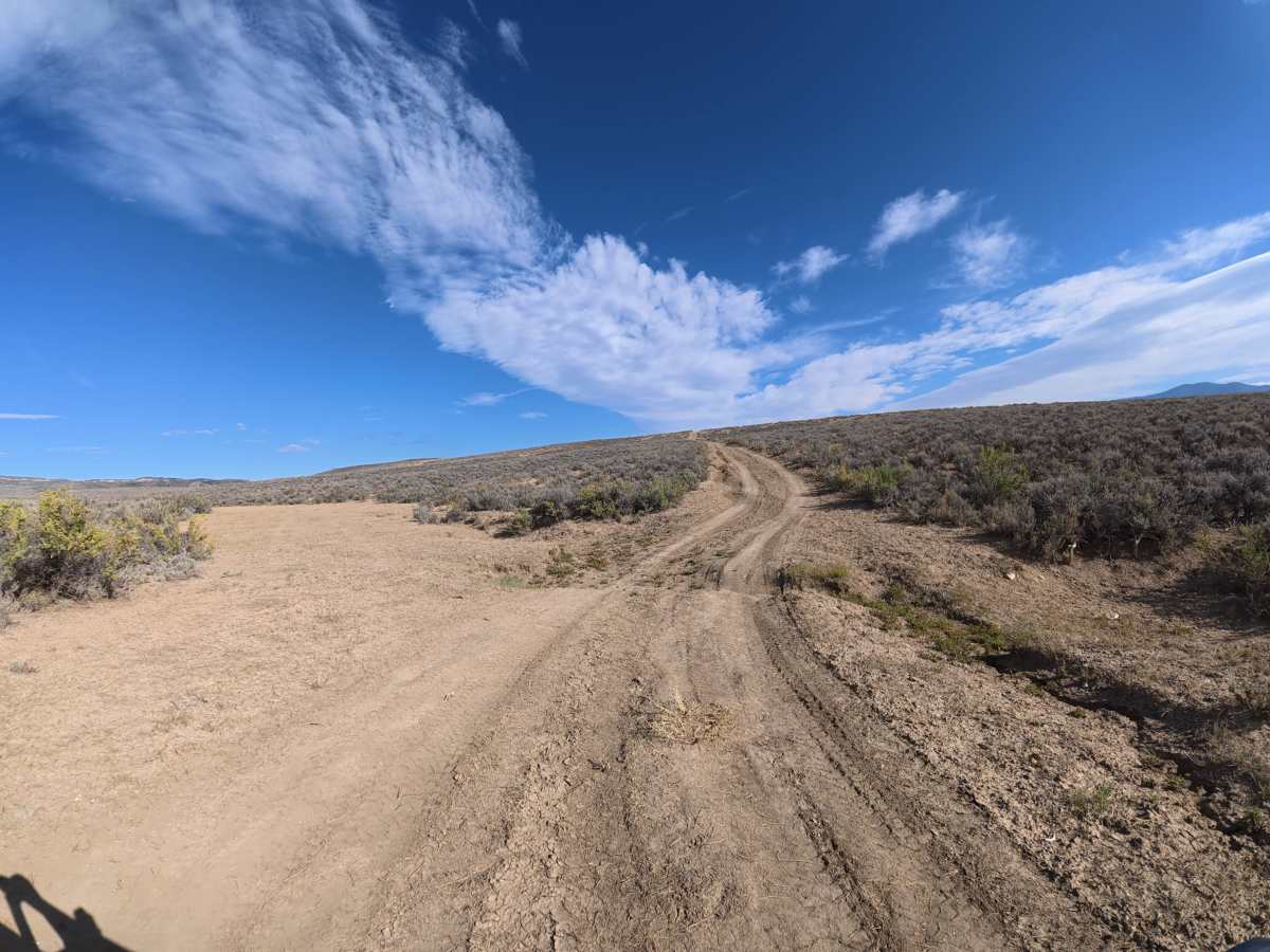 Dunning Creek photo 5