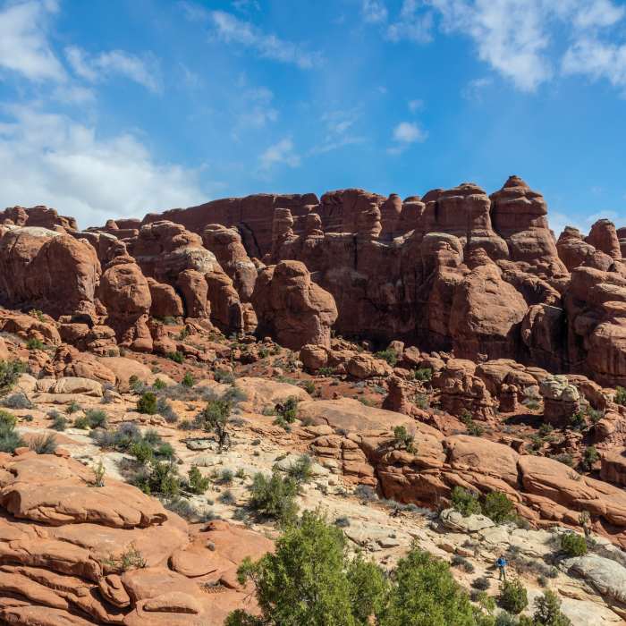 Near Fiery Furnace Viewpoint Spur