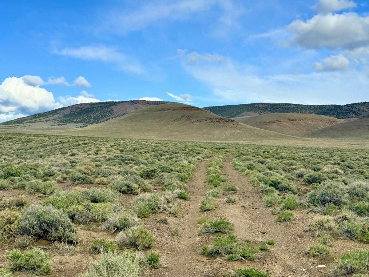 South Spencer - FS 43287 photo 6