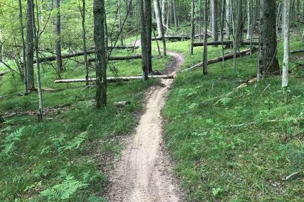 Evart Motorcycle Trail