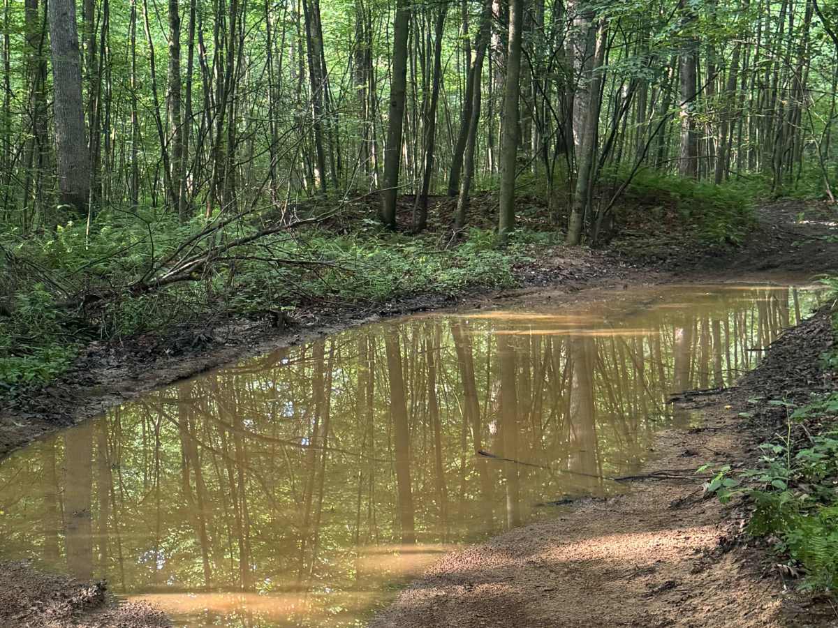 Trail 52 photo 4