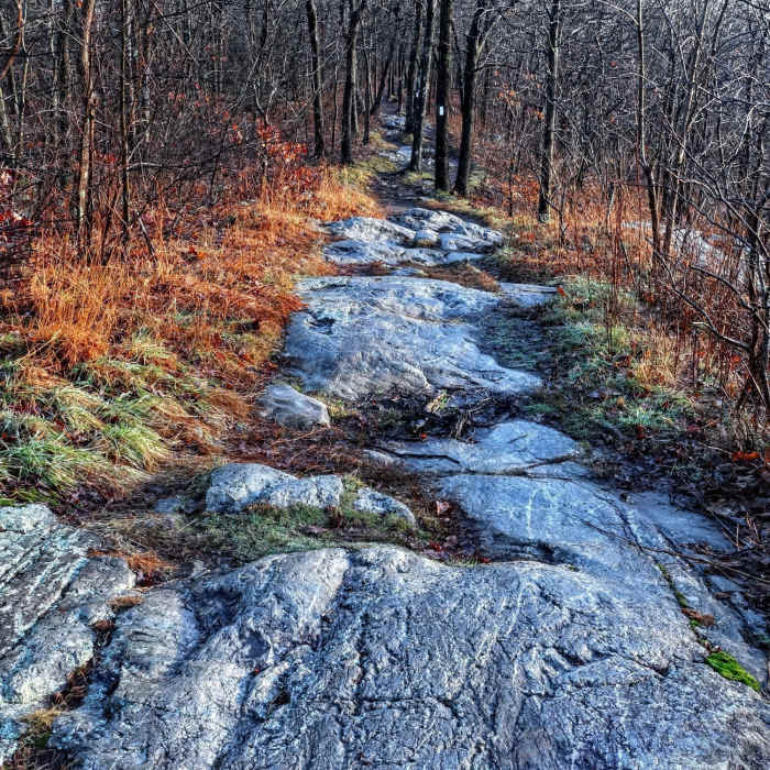 A winter view of the AT in northern New Jersey Near Stony Lake to Sunrise Mountain