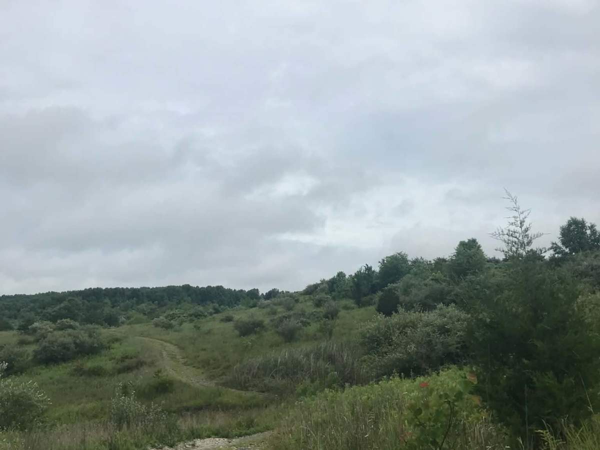 Anderson Meadows  trail photo