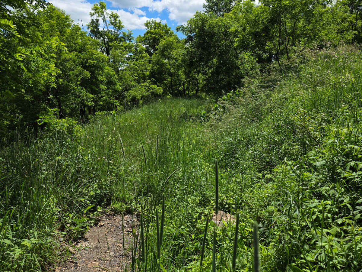 Single Track AD photo 3
