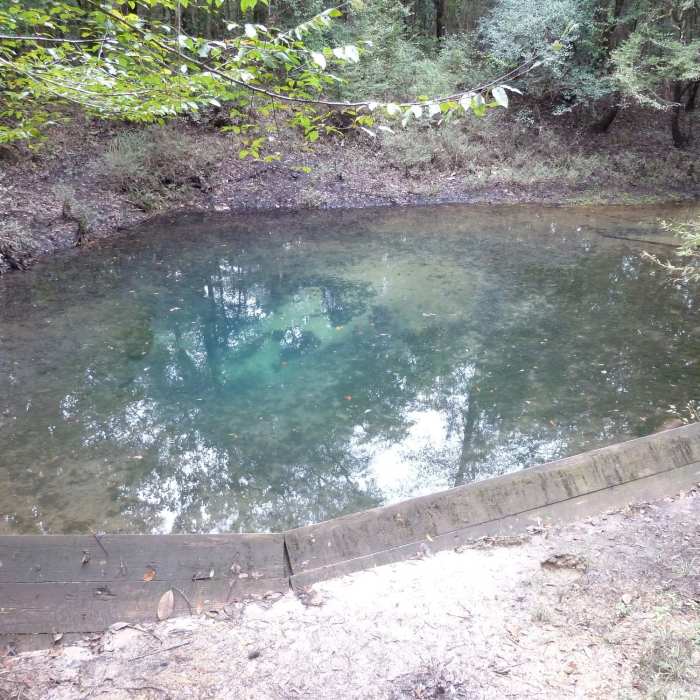 Blue Spring Near Blue Spring Loop