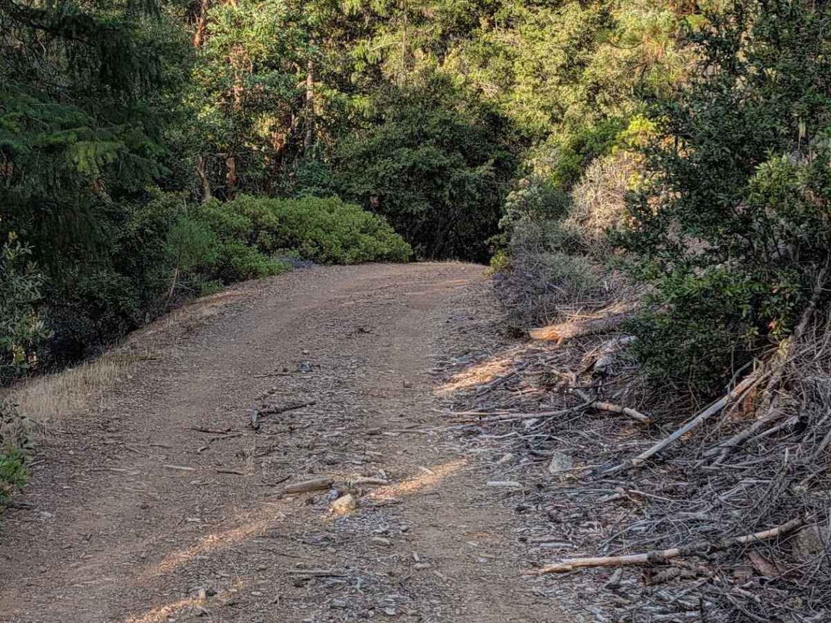 Green Gulch Road - FS 30N74  photo 5