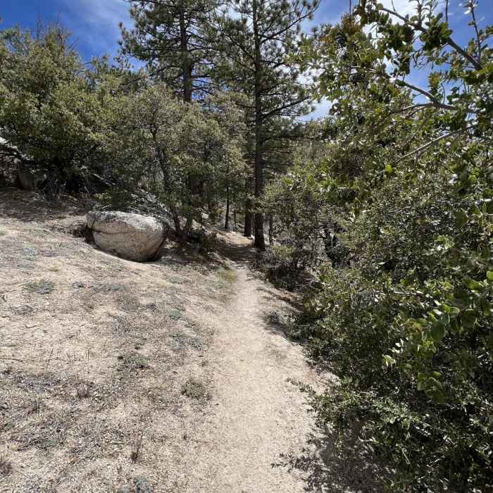 Near Waterman Mountain