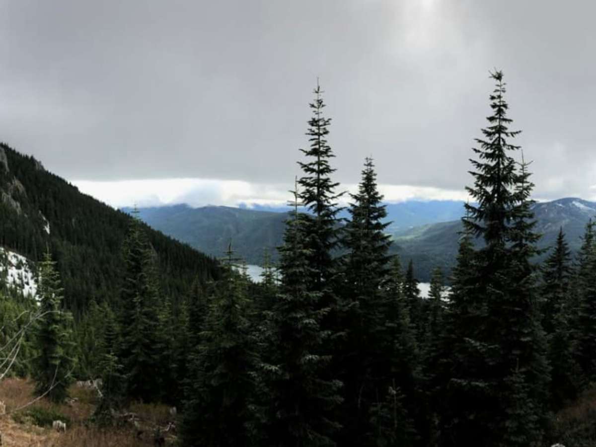 Kachess Overlook trail photo