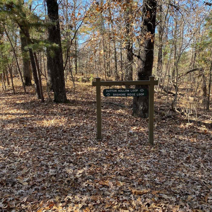 Bashore Ridge Loop | Hiking Trail Maps, Difficulty, Trail Status | onX