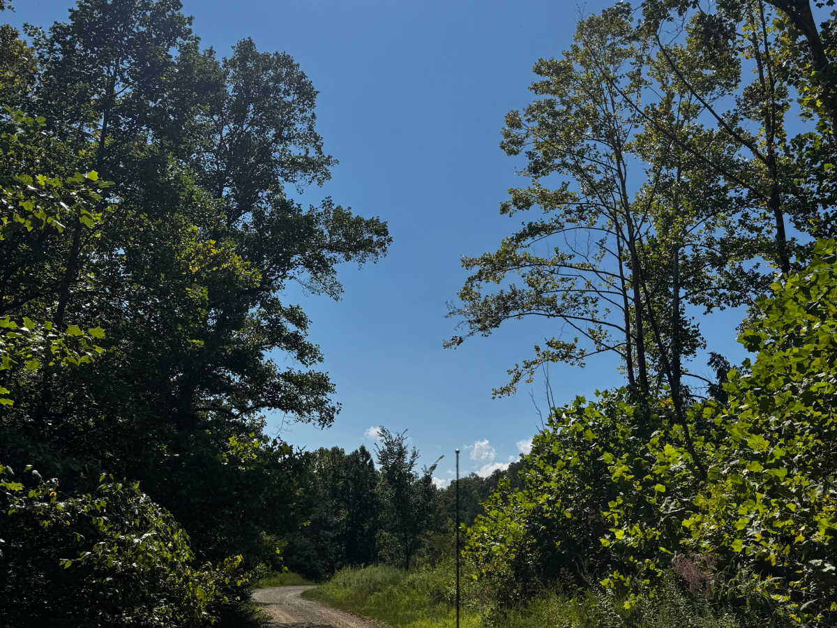 JC Trail 1 photo 6