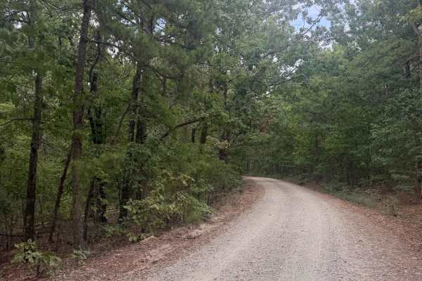 South Winona Forest Road