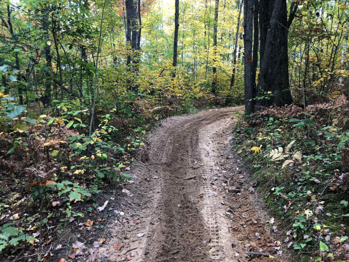 Crapo Creek Trail photo 3