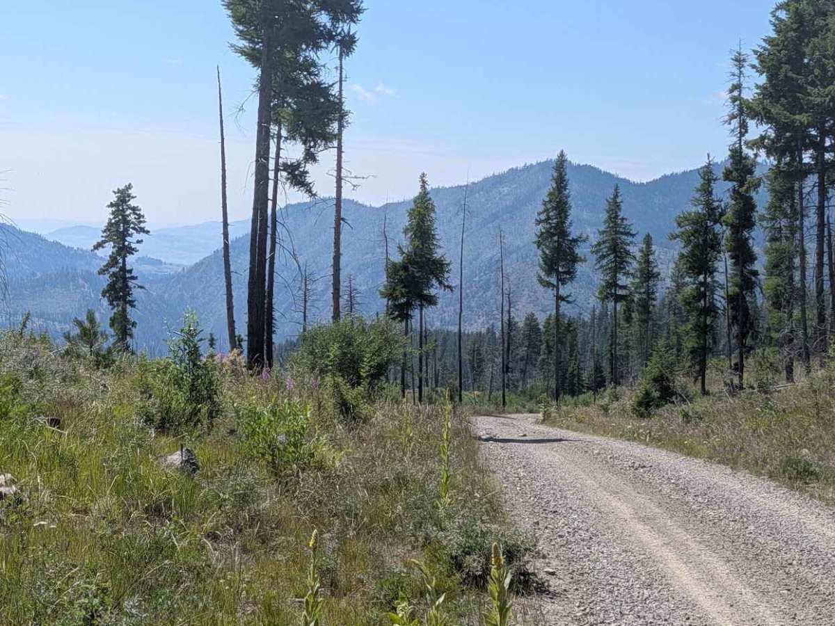 E362507a trail photo