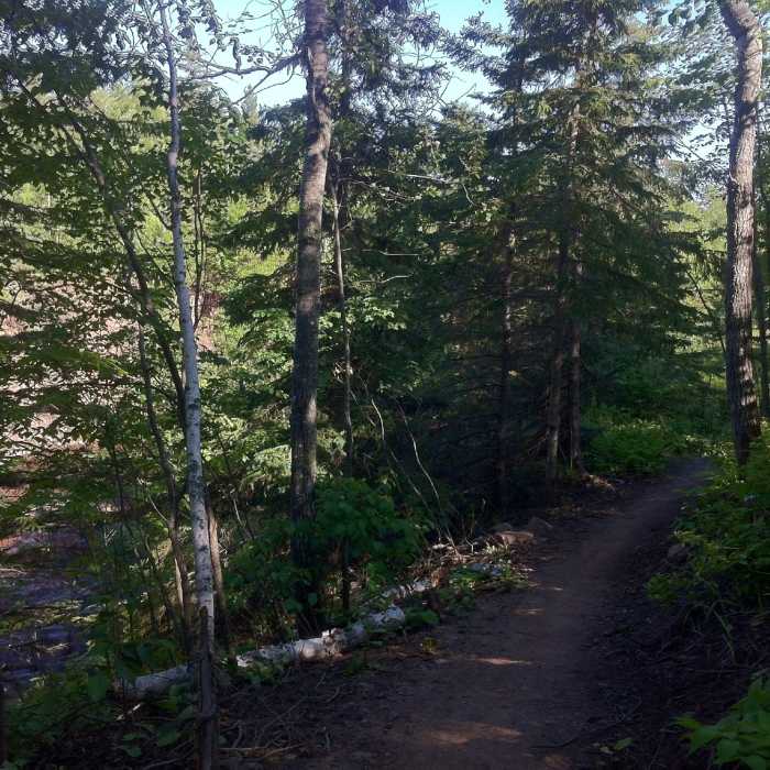 Near Lester River Trail - Duluth Traverse